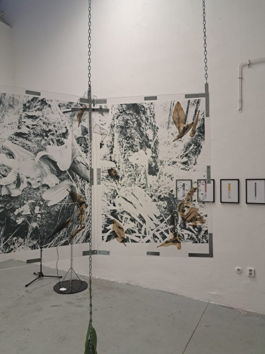 Rundgang Klasse ter Heijne, Cecile Boos